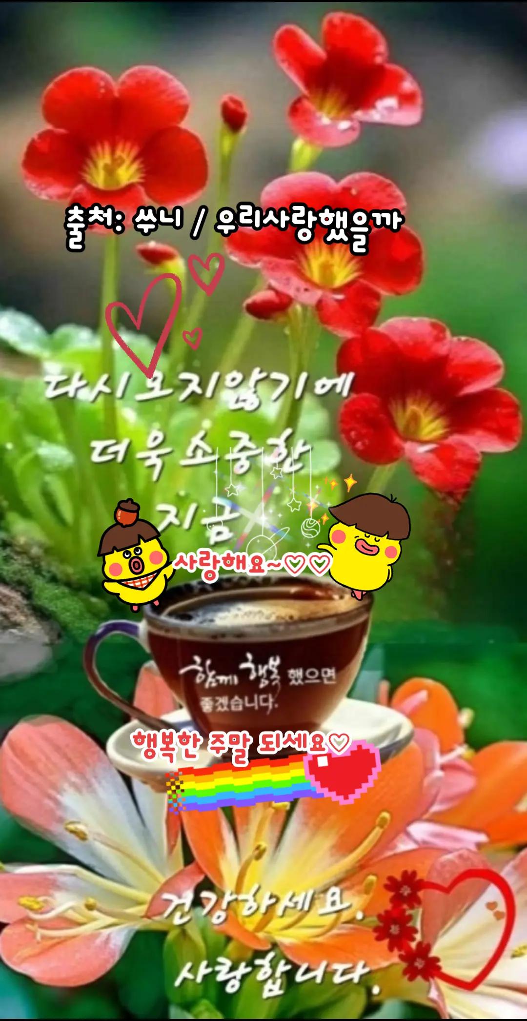 @🇰🇷💙청하🙏하게💙🇰🇷