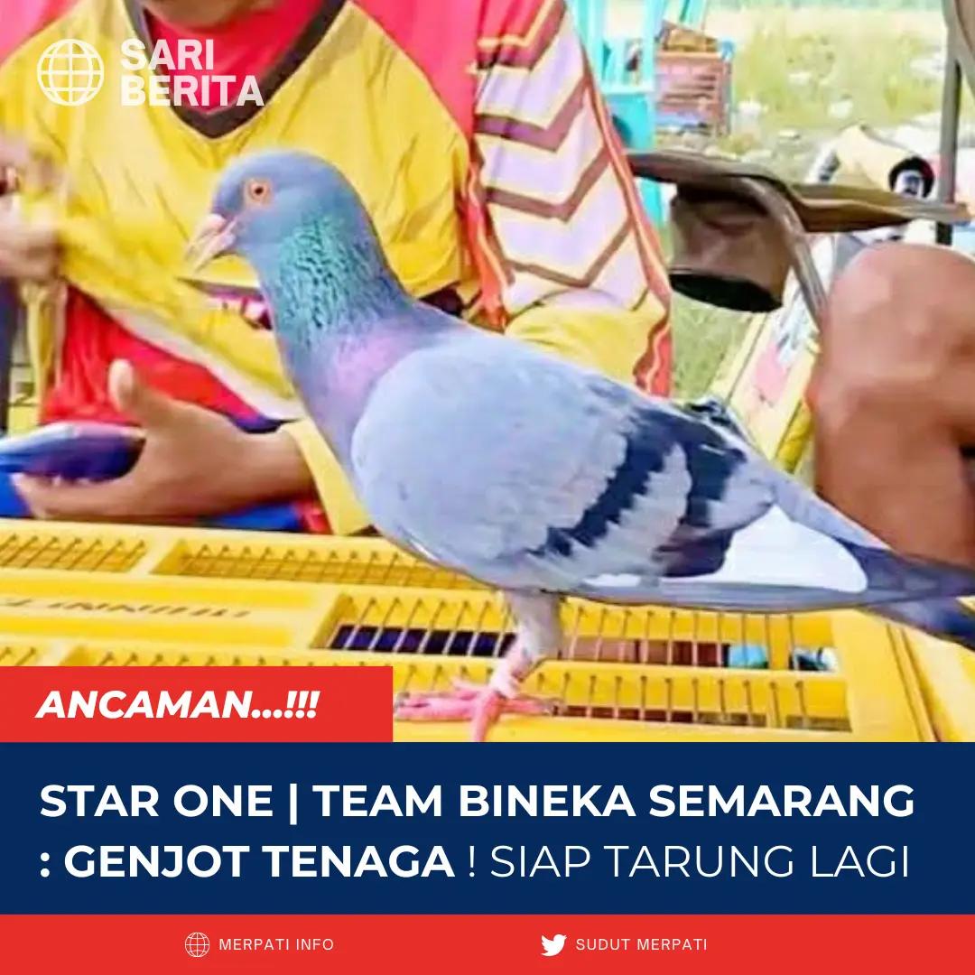 @Berita Merpati