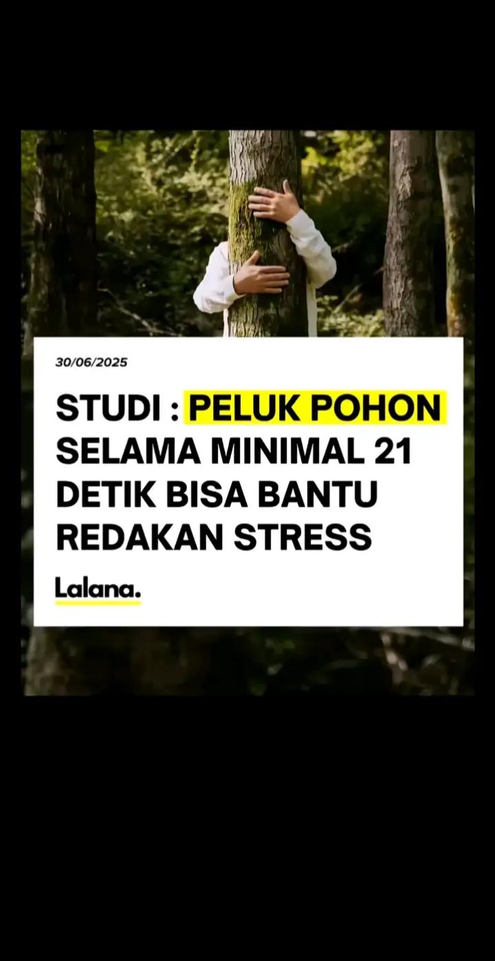 @hacim