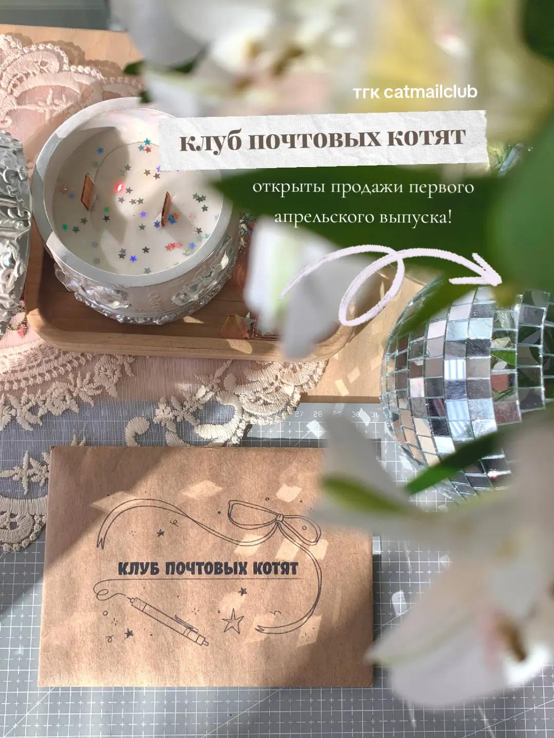 @розовый свитер🐾🩷😺