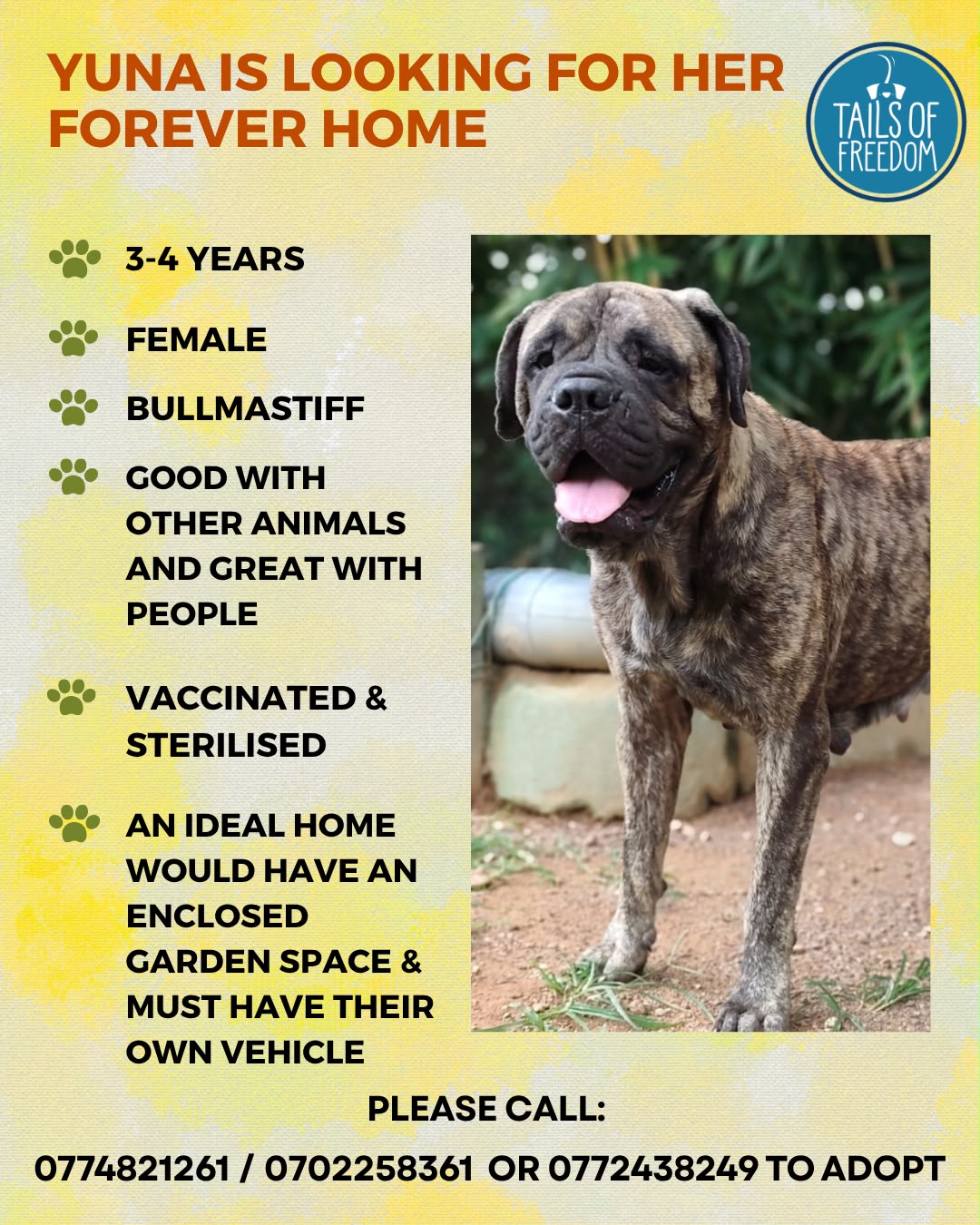 @tailsoffreedomsl