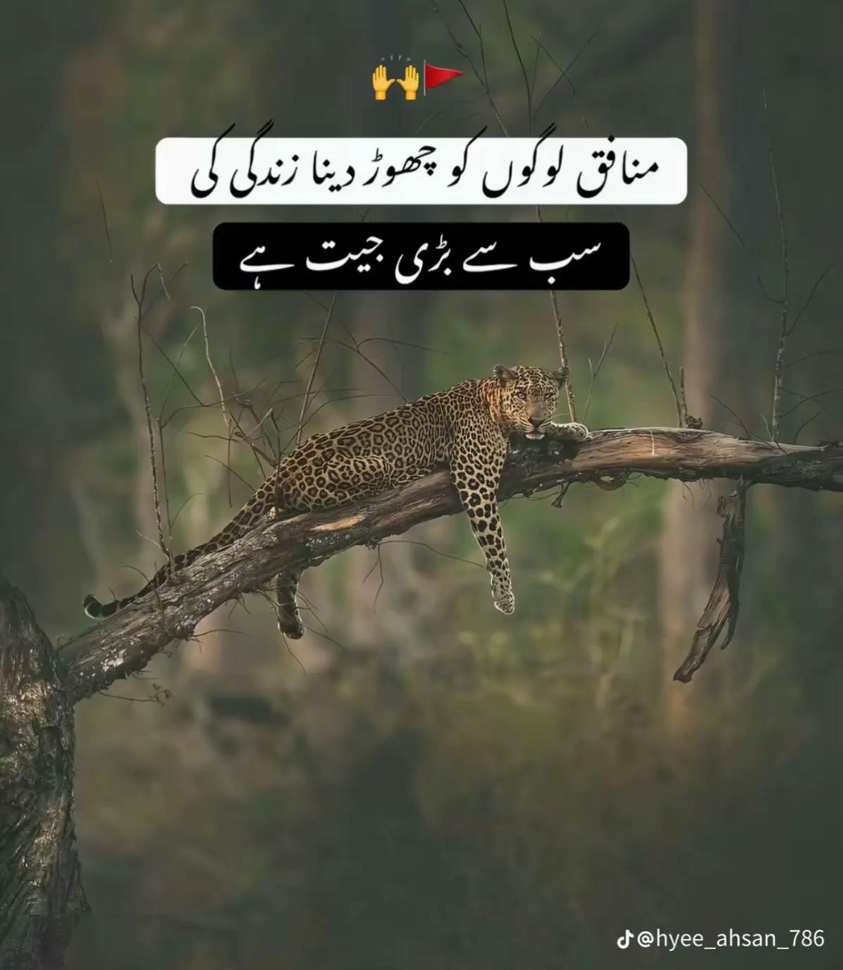 @Maher_zada🇵🇰