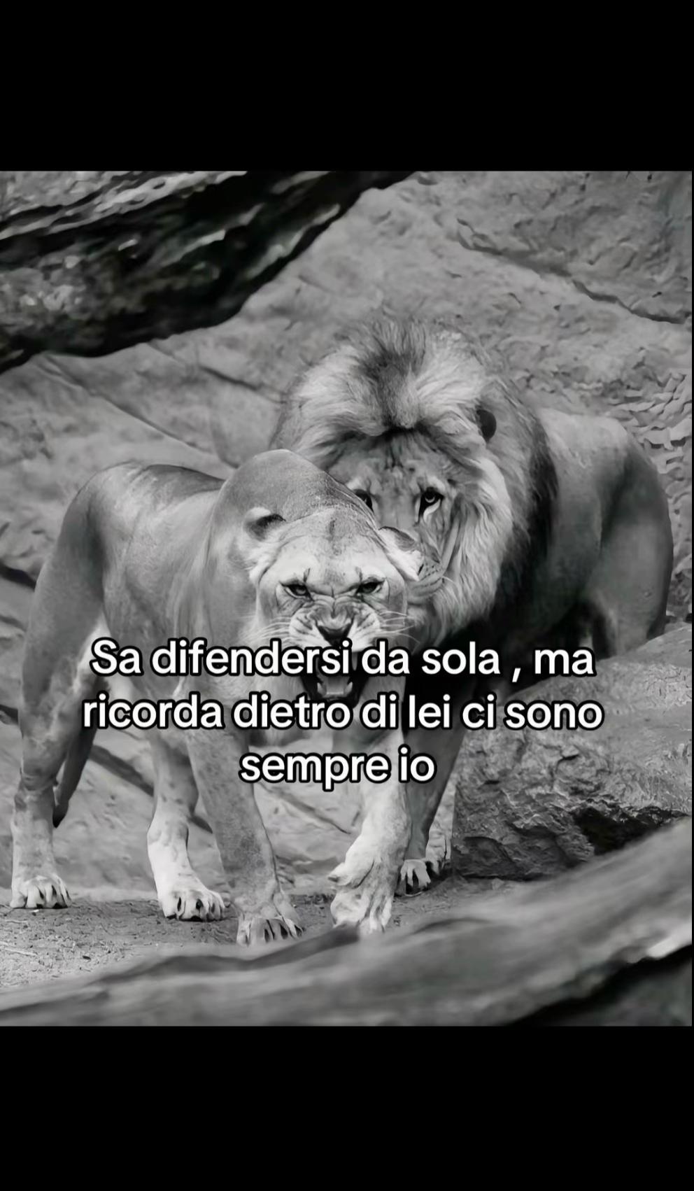 @utente_ paternese.17