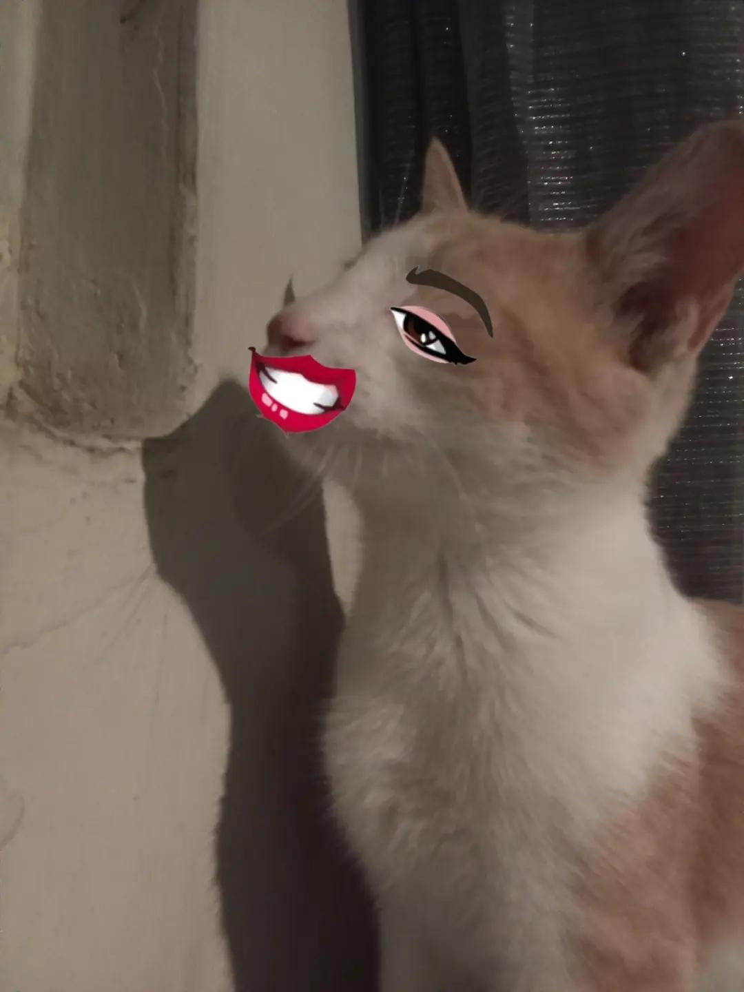 @🍥𝐒torys 𝓢of🫧