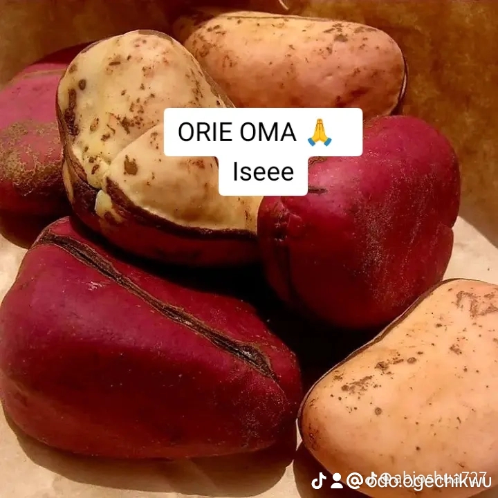 @𝕊𝕠𝕟⭐ ✨𝕠𝕗 📌💫ℍ𝕠𝕡𝕖✨💯💀