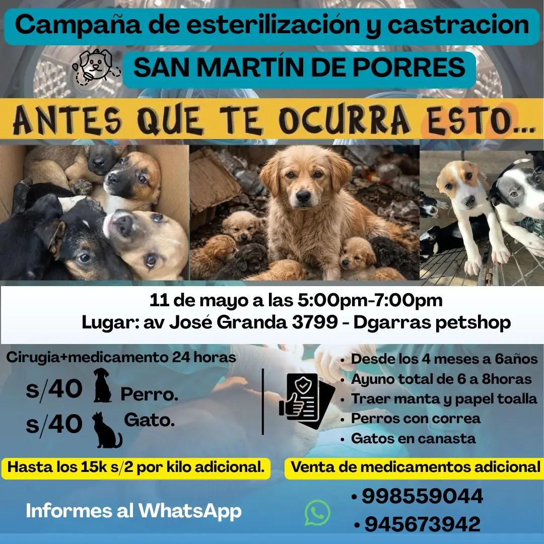 @Perritos Voladores