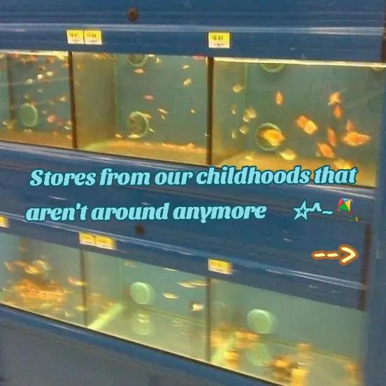 @alex the rat boy