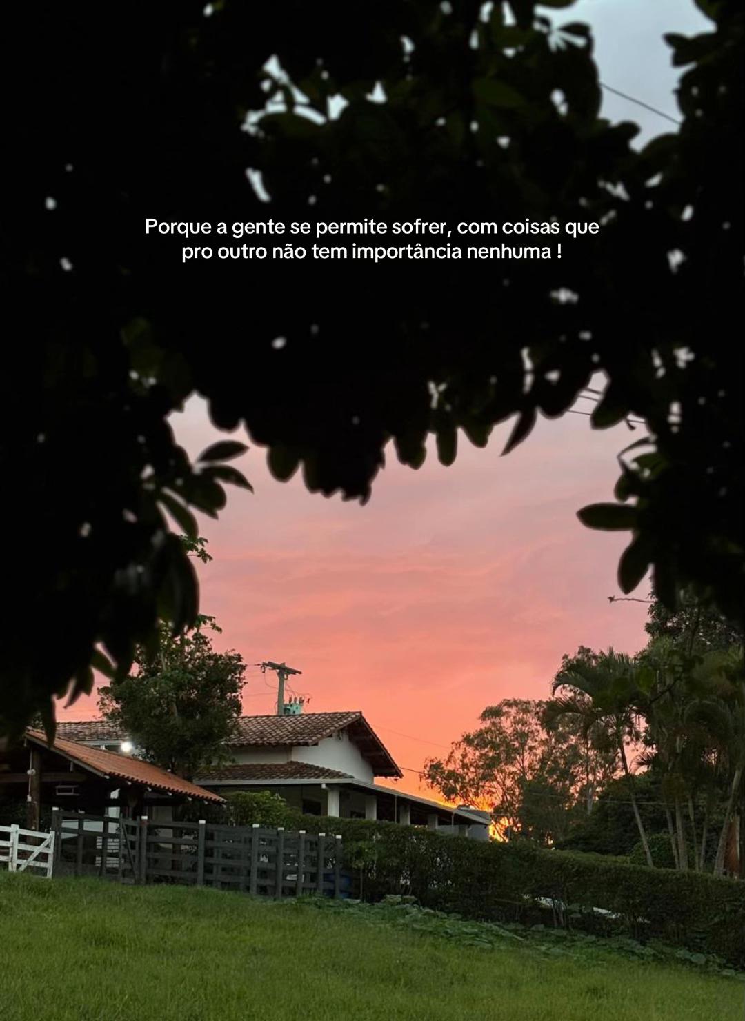 @Carol Santos
