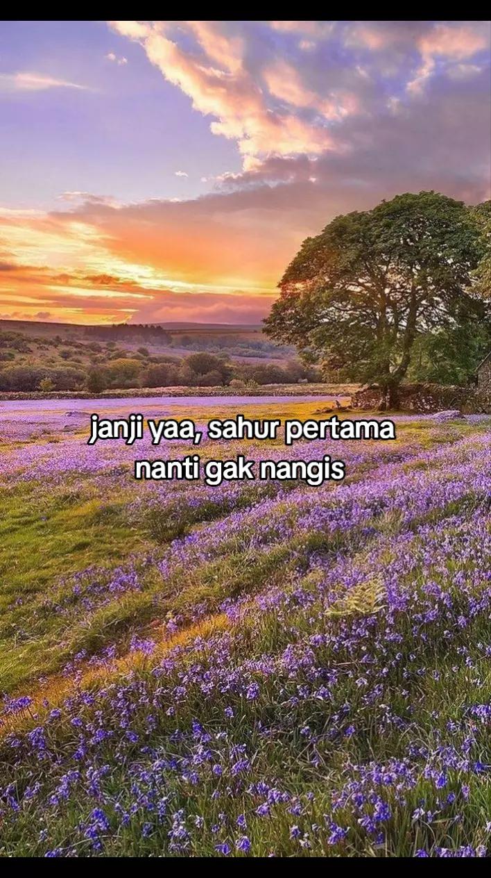 @๐๐๐๐ฏ ๐๐๐ ๐น `๐ผ๐๐พแญ