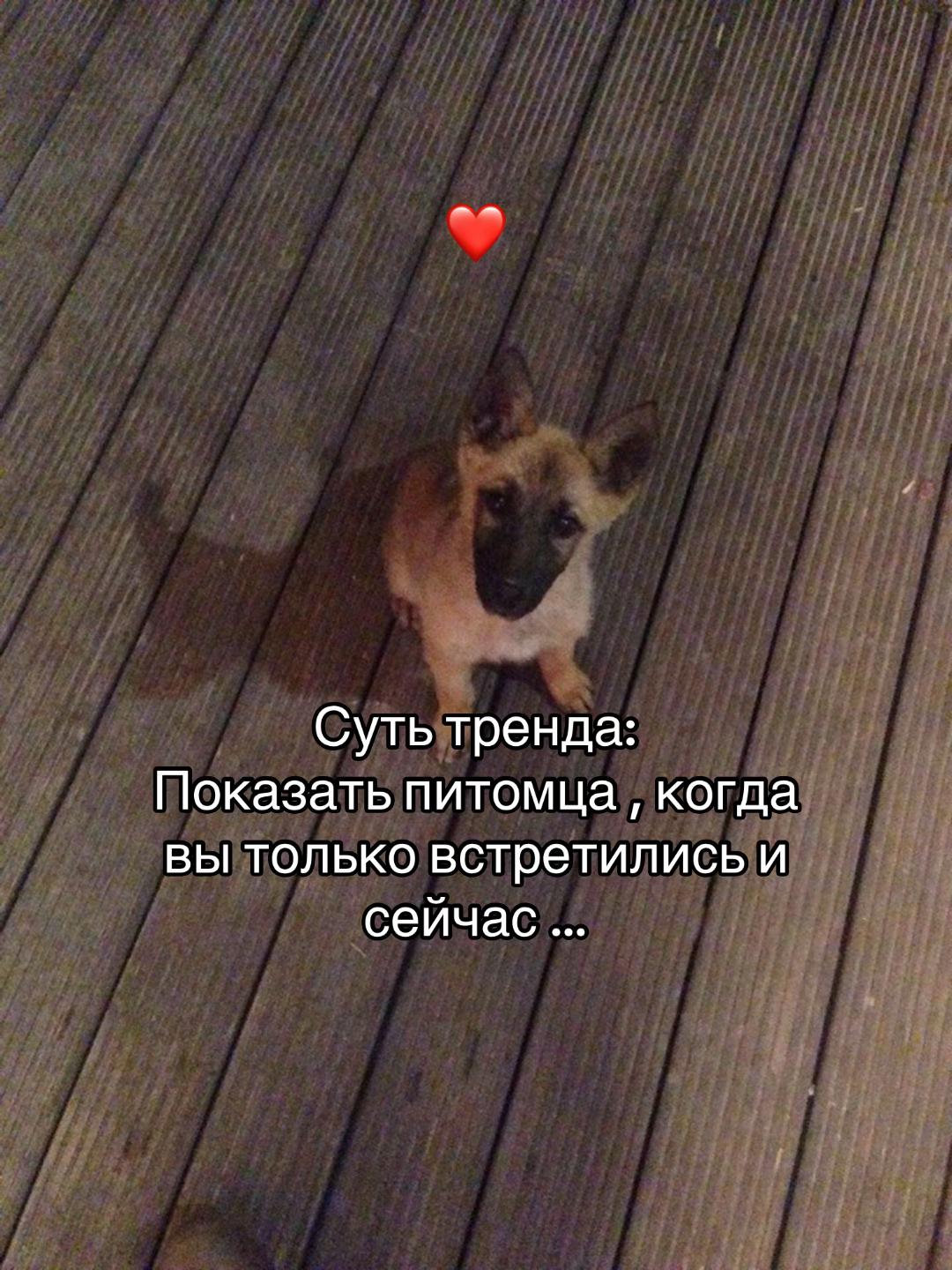 @екатерина