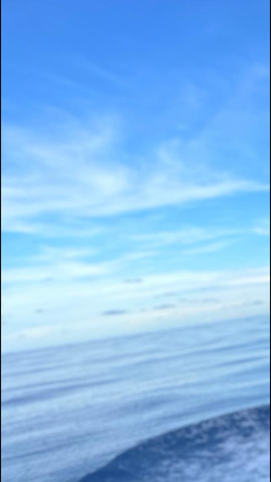 @XLA FISHING