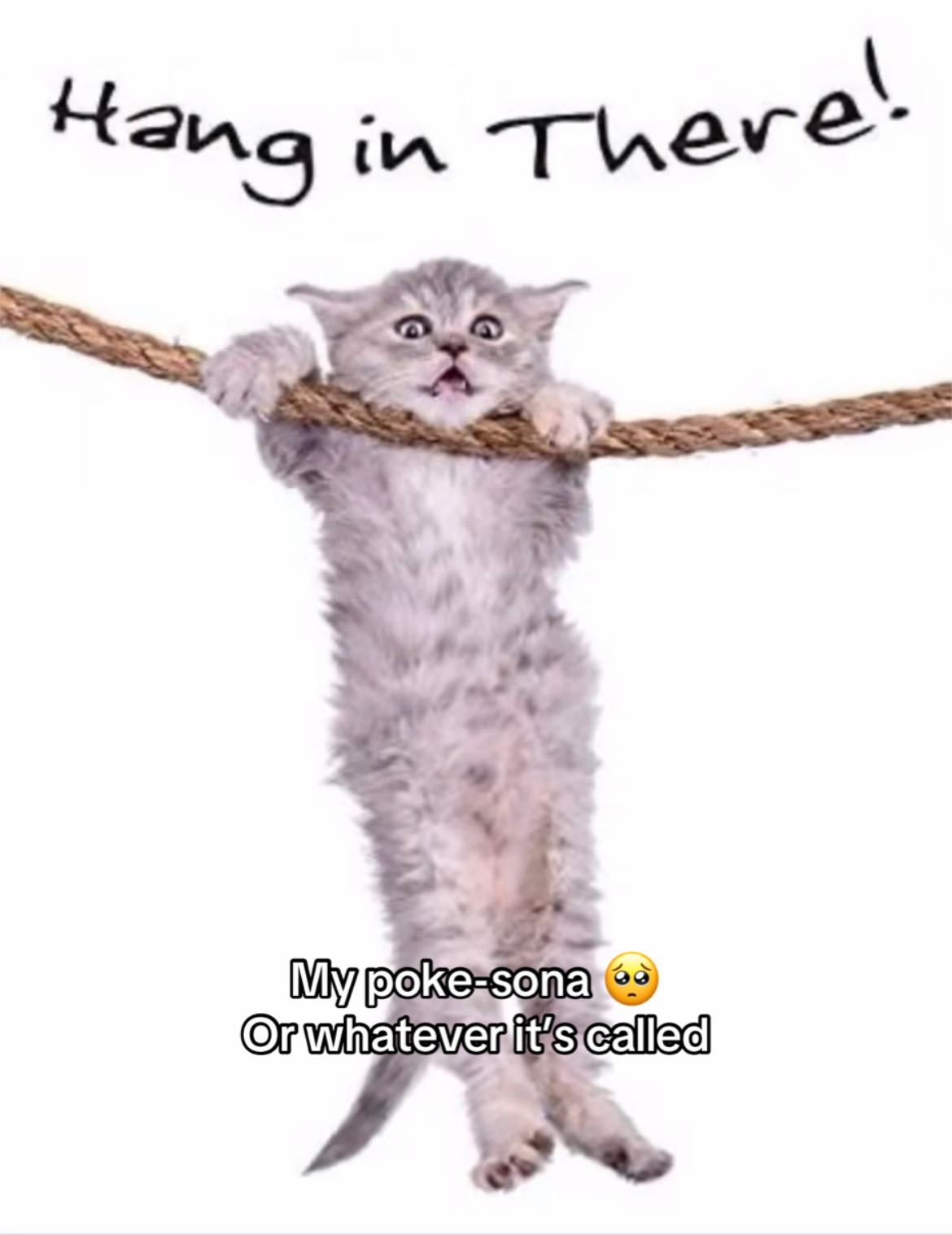@โ
๐ซ๐๐ ๐๐๐ฑโ