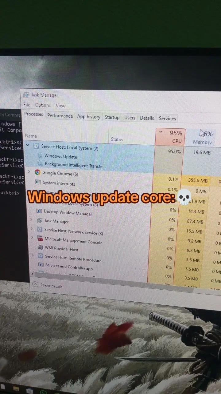 @/home/Aledect