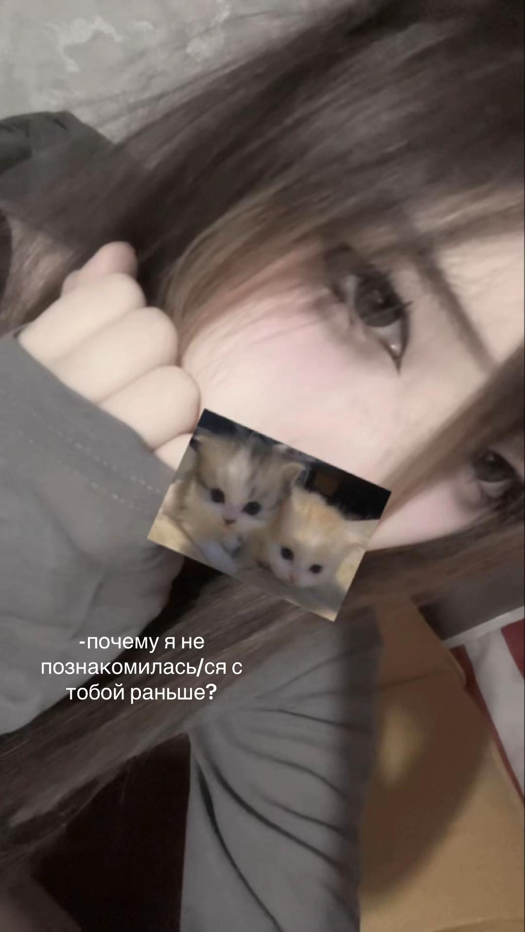 @lolkek21_chebukris