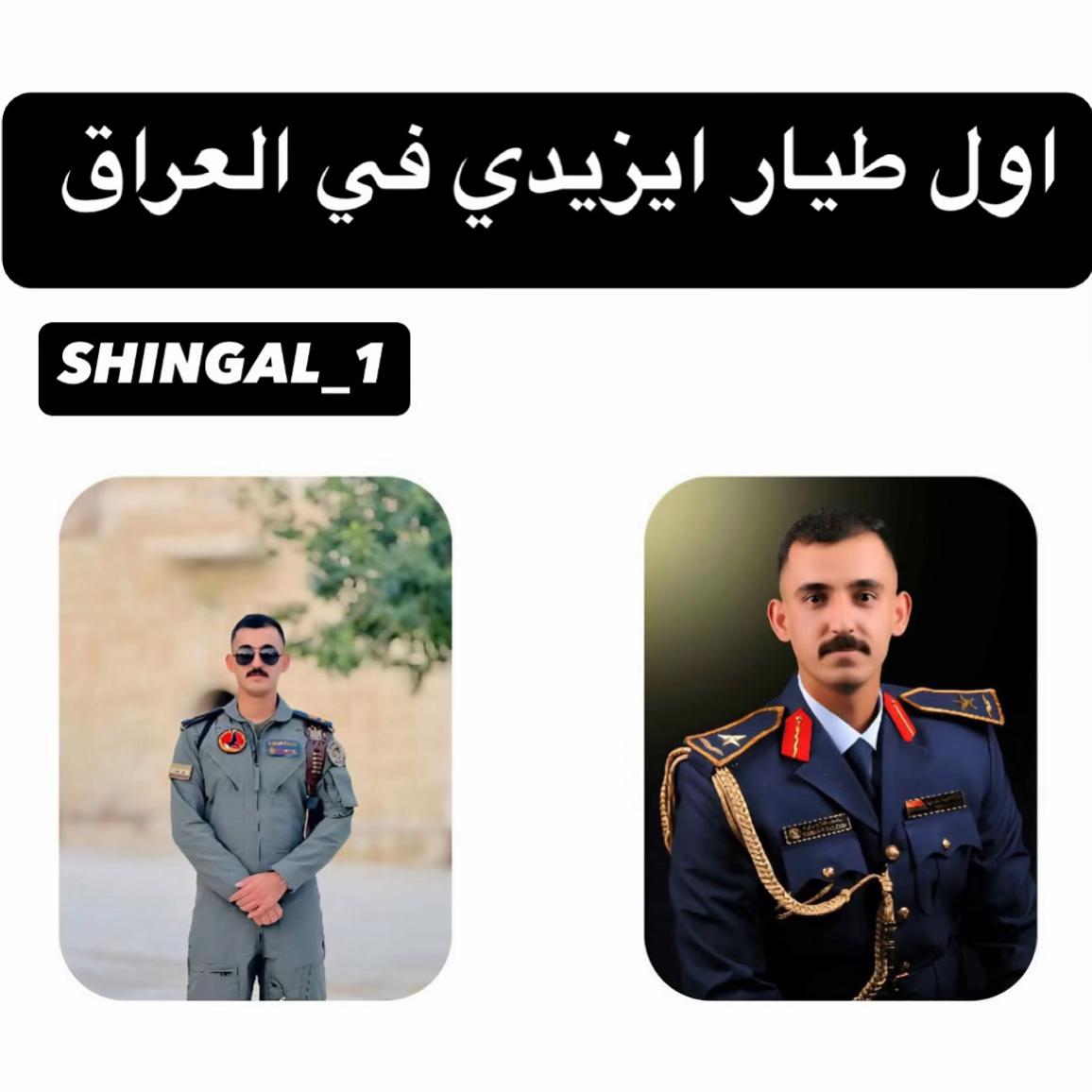 @shingal_1