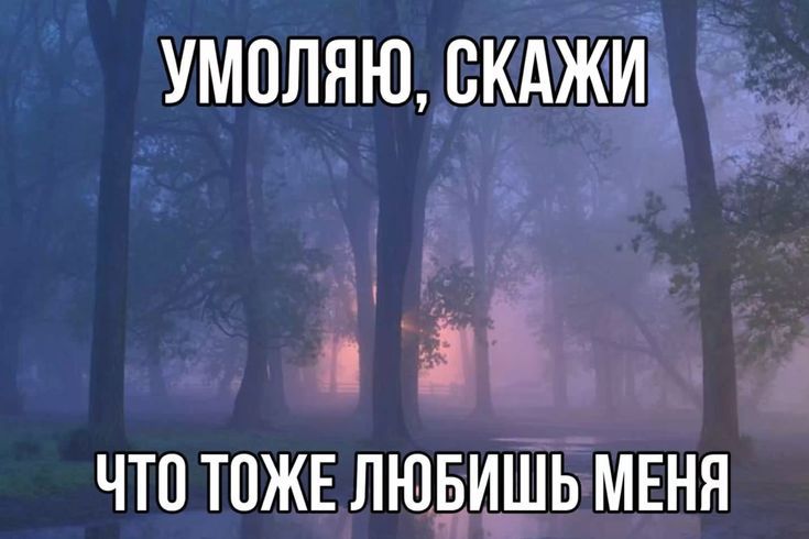 @Sipomi