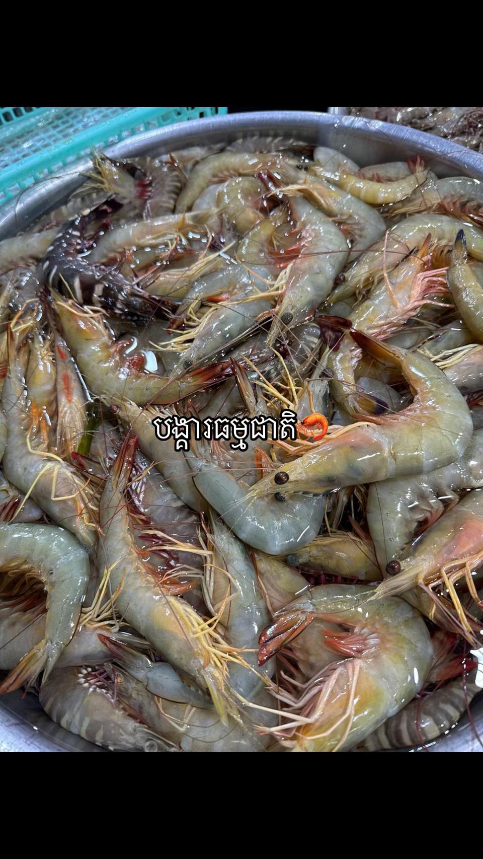 @កំពតគ្រឿងសមុទ្រ