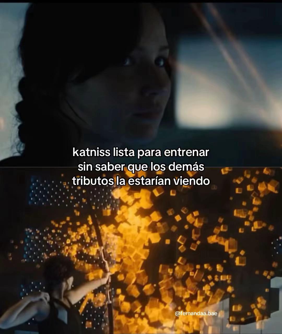 @mockingjayfer