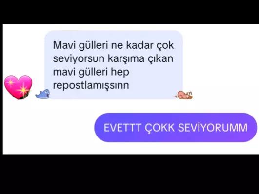 @🌸Ceylin🌸