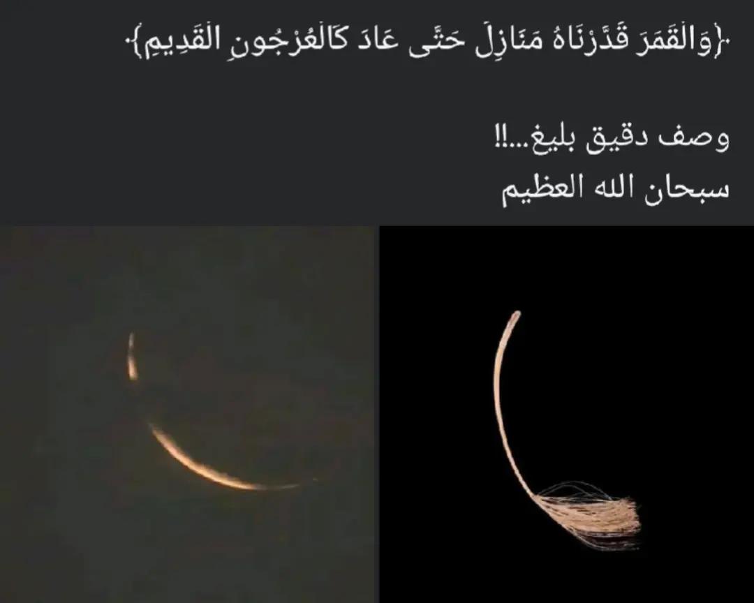 @a.h.m.e.d_r.e.d.a