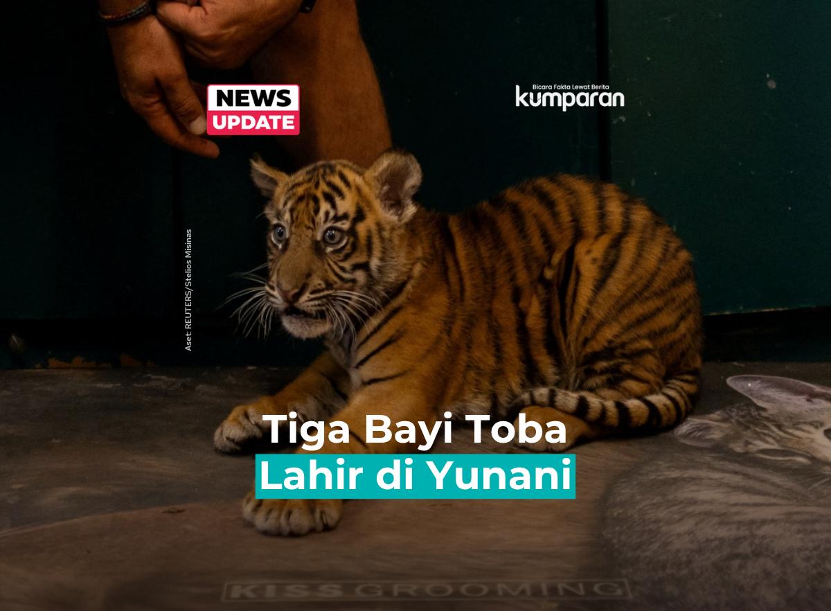 @kumparan