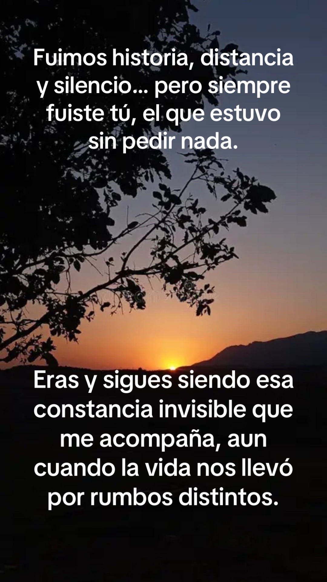 @adasvace22