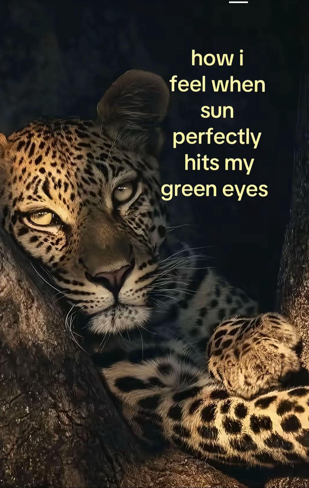 @Leighaaa