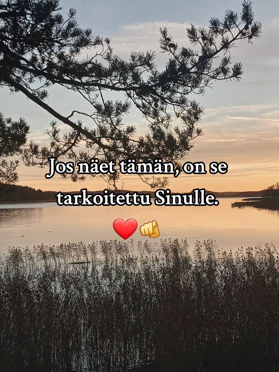 @Sanna