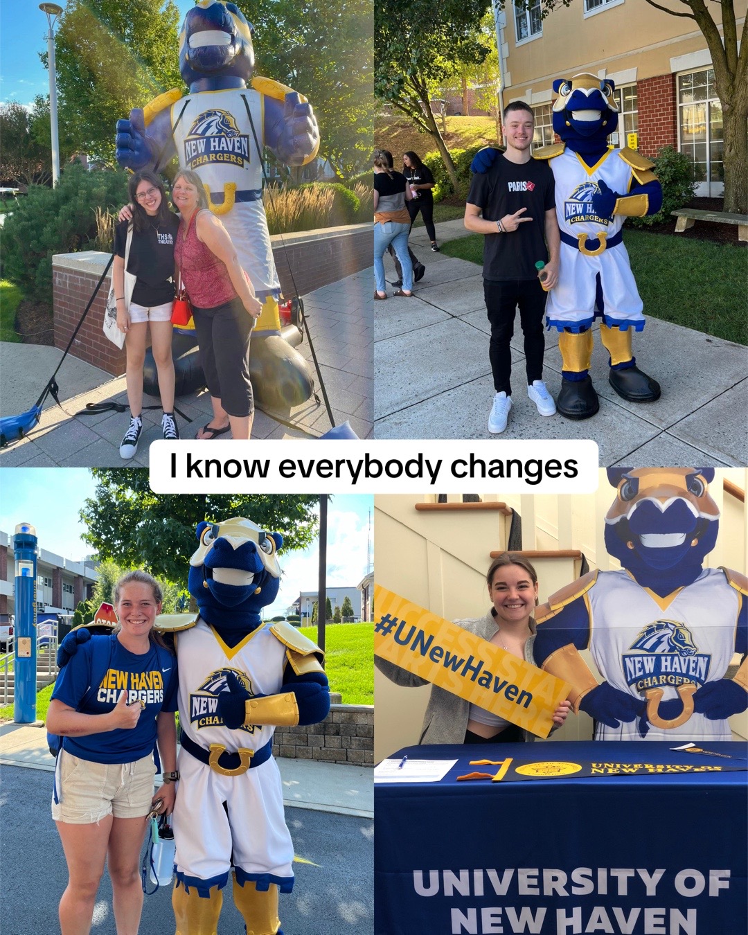 @University of New Haven