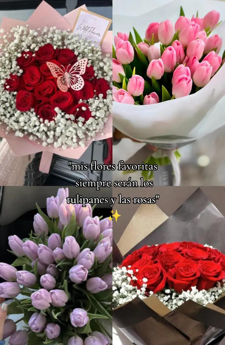 @🦋Estefany🦋