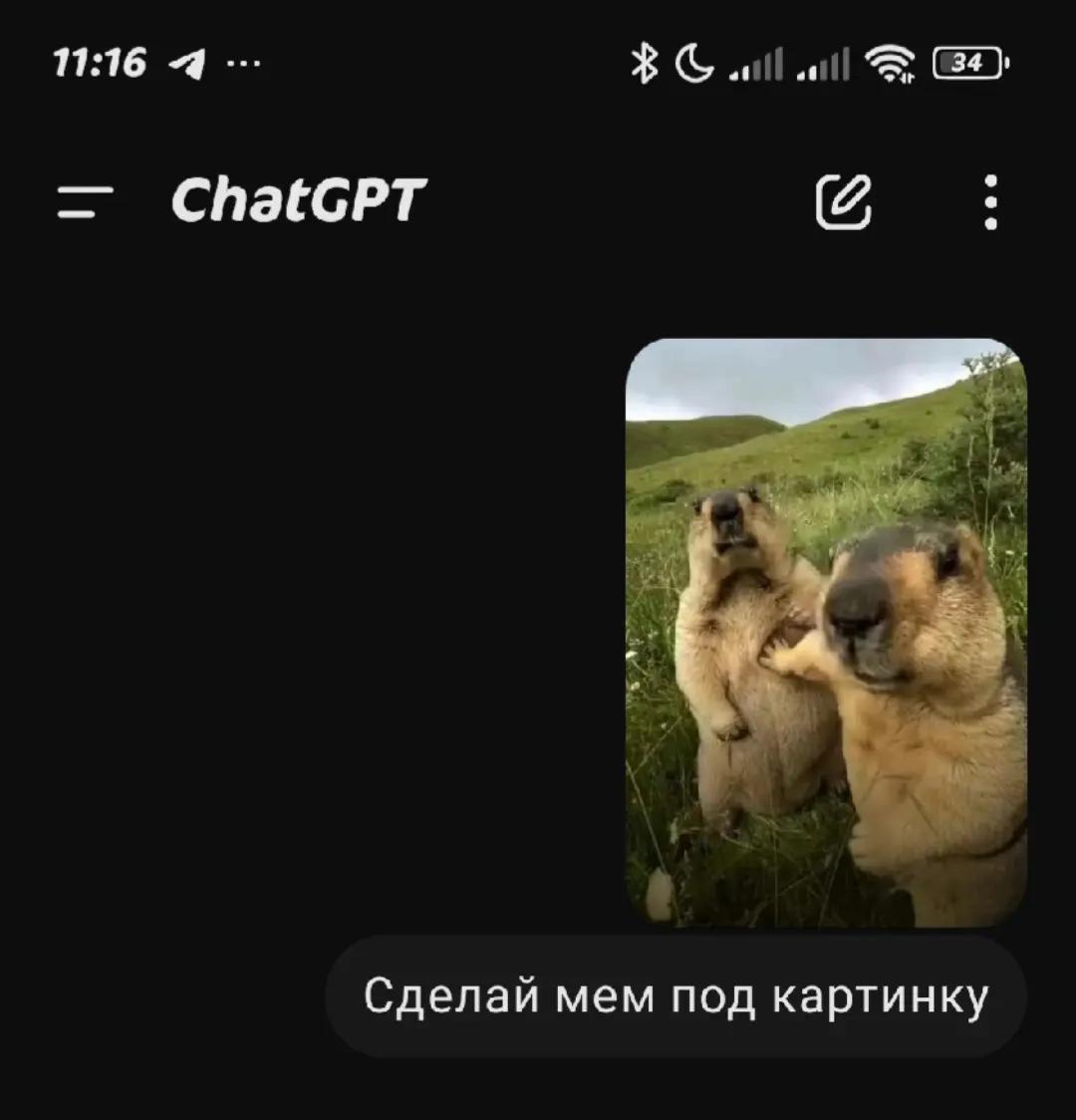 @🌑черный🌑