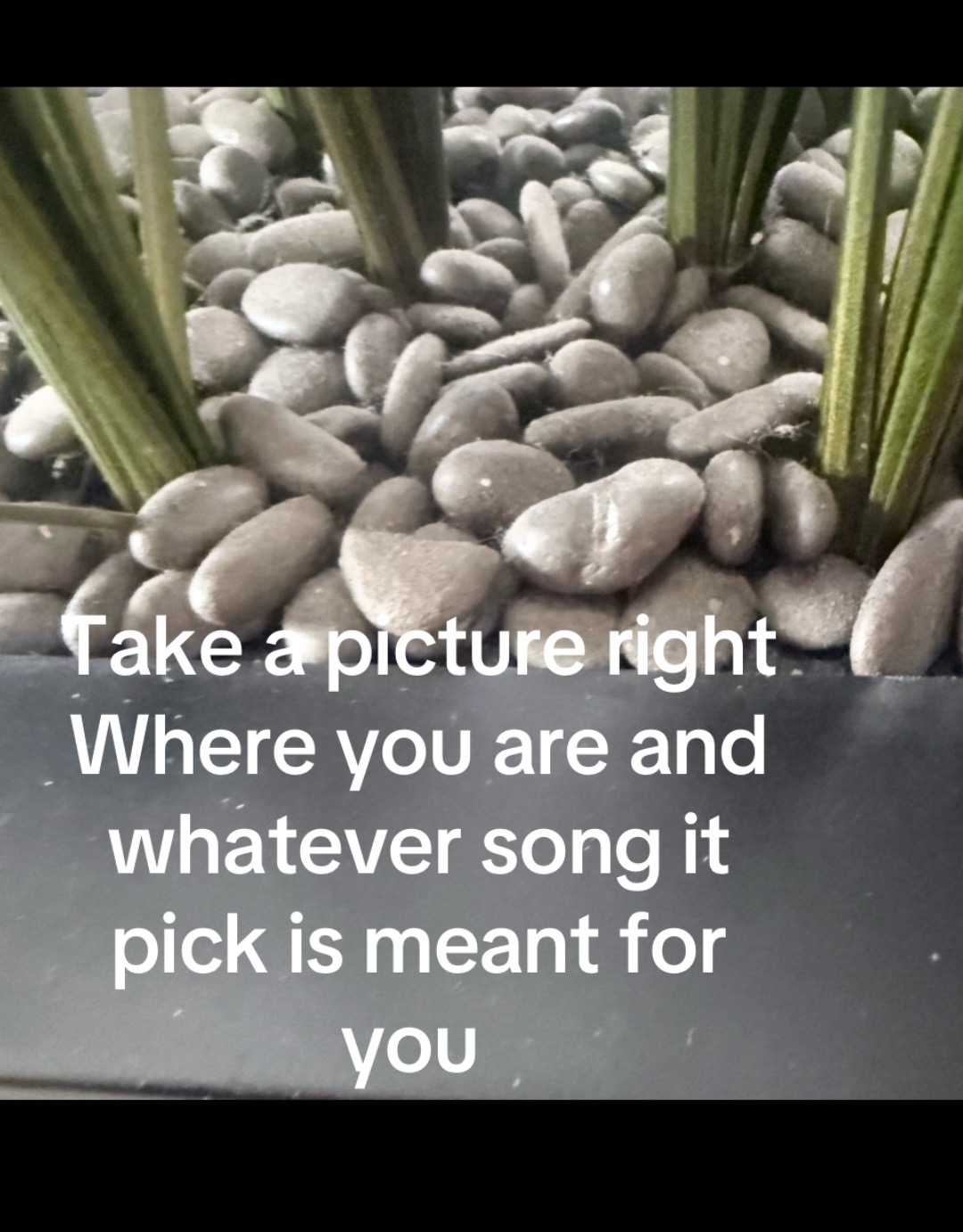 @imyakinkc