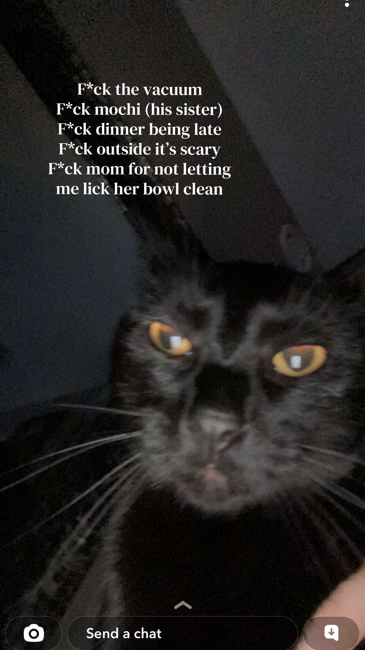 @Biggy smalls🐈⬛