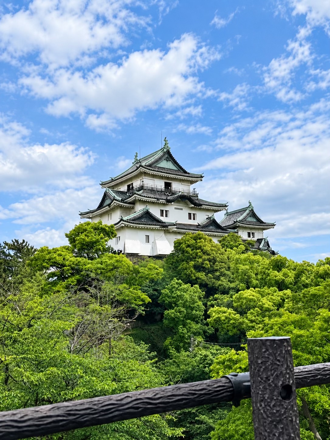 @日本包车-商导