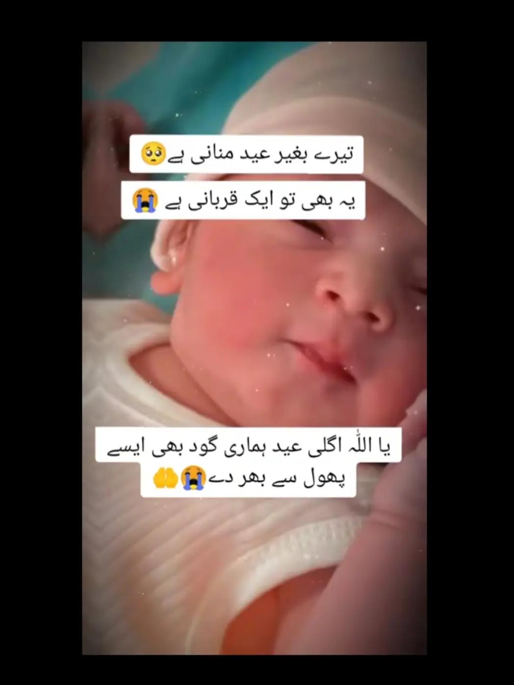 @bint.e.haseeb5