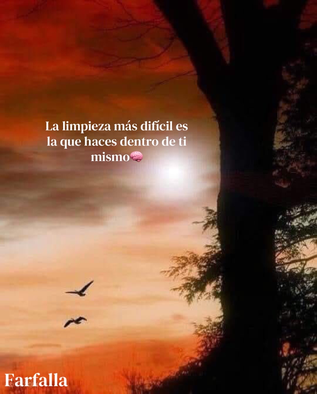 @🦋ƑÃŘƑÃĹĹà βĹǗẸ ŘỖβ🩵