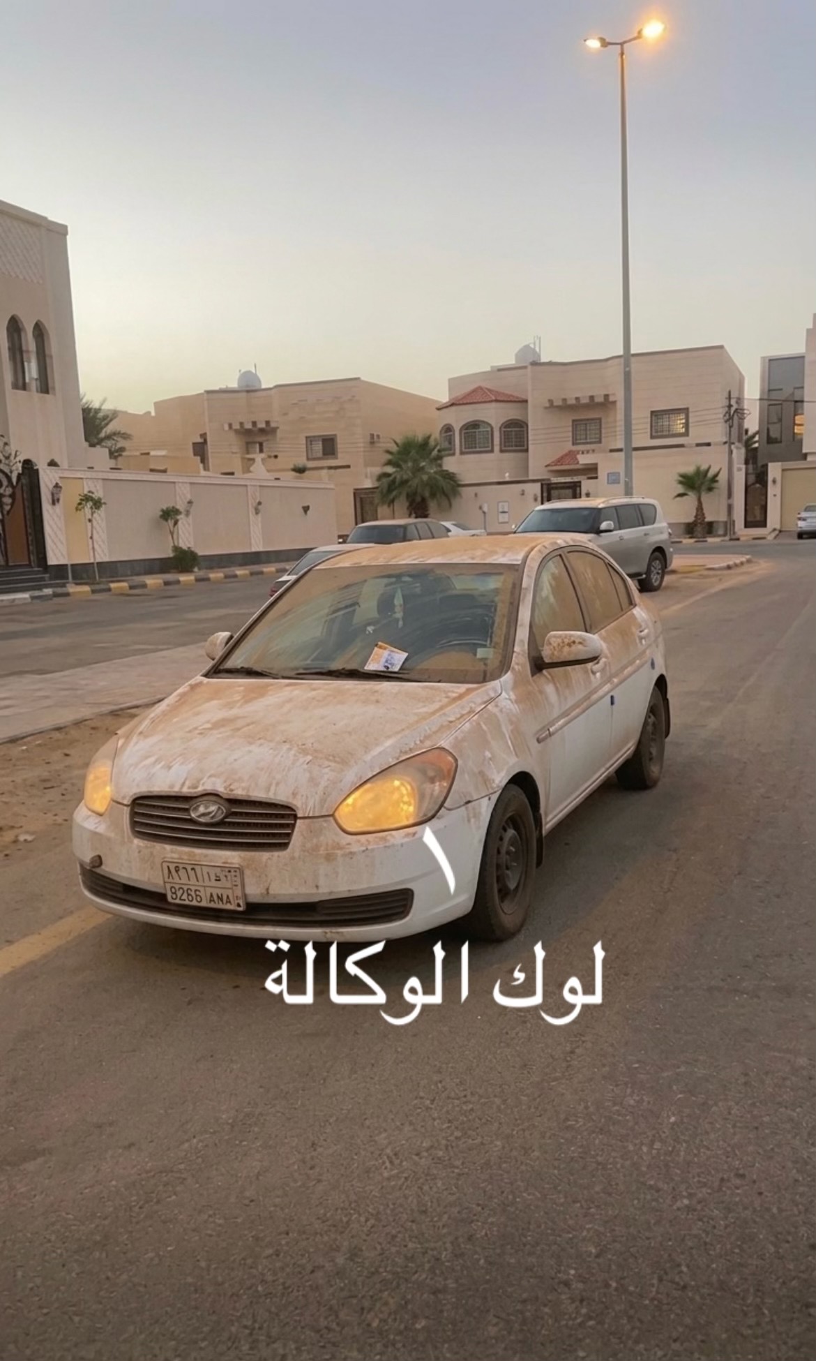 @الصلحي