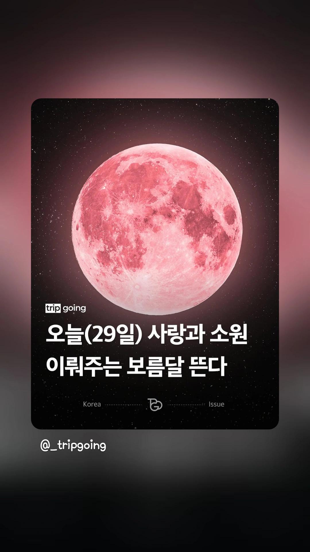 @๐์นดโข๋ผ๐
