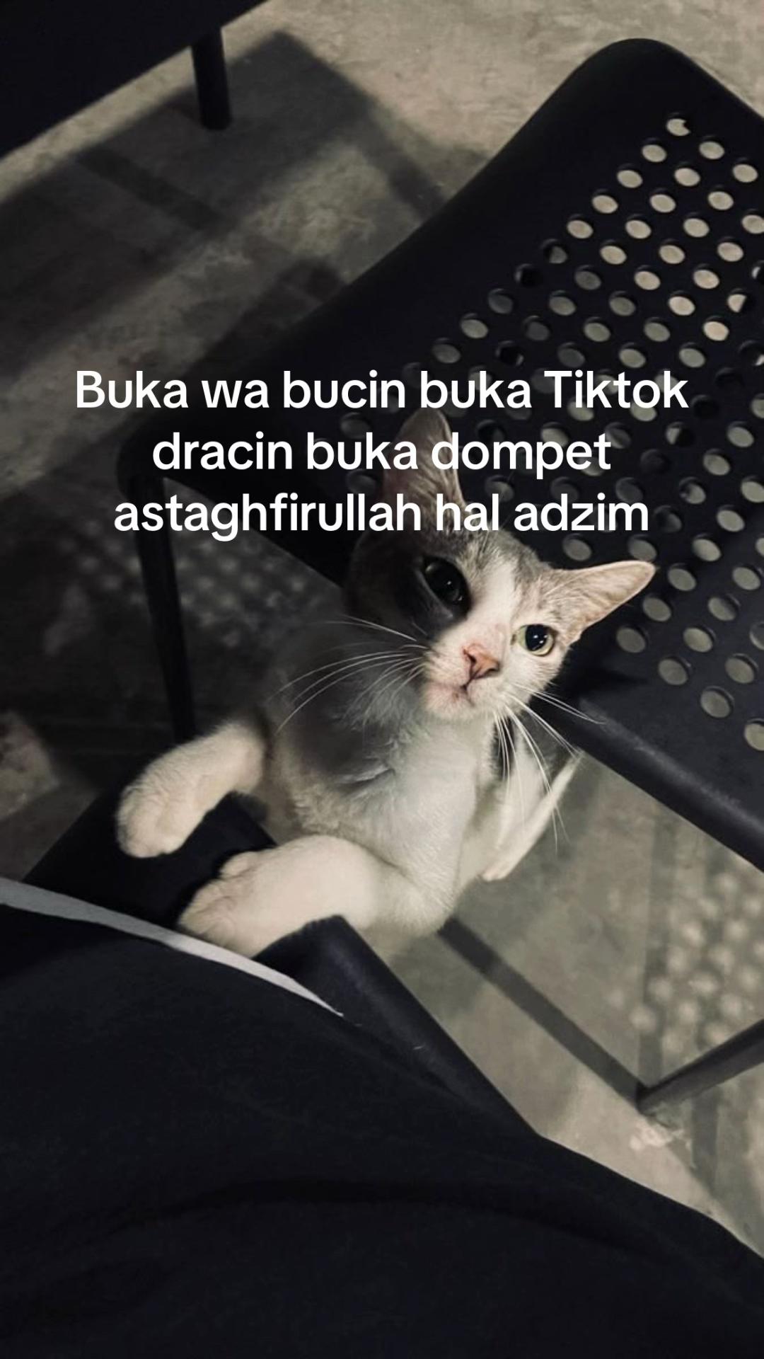 @stiawanricky