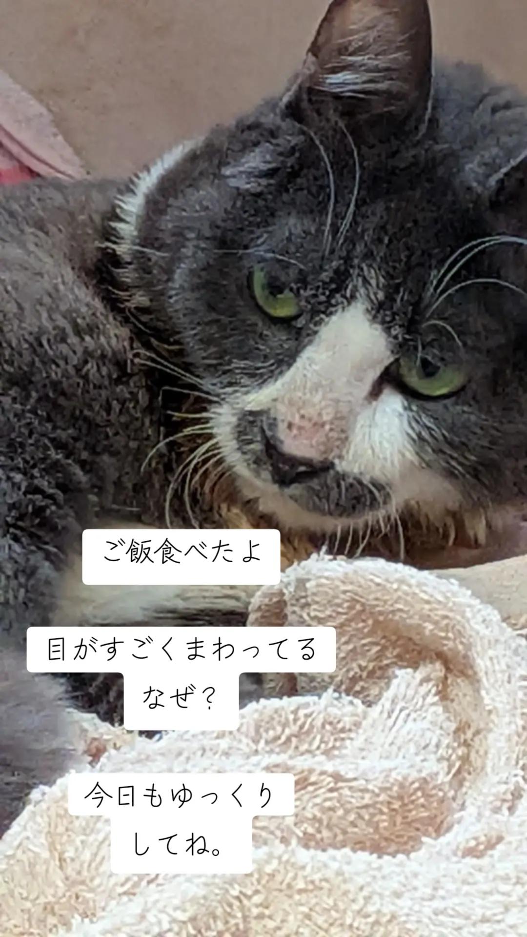 @てんきな