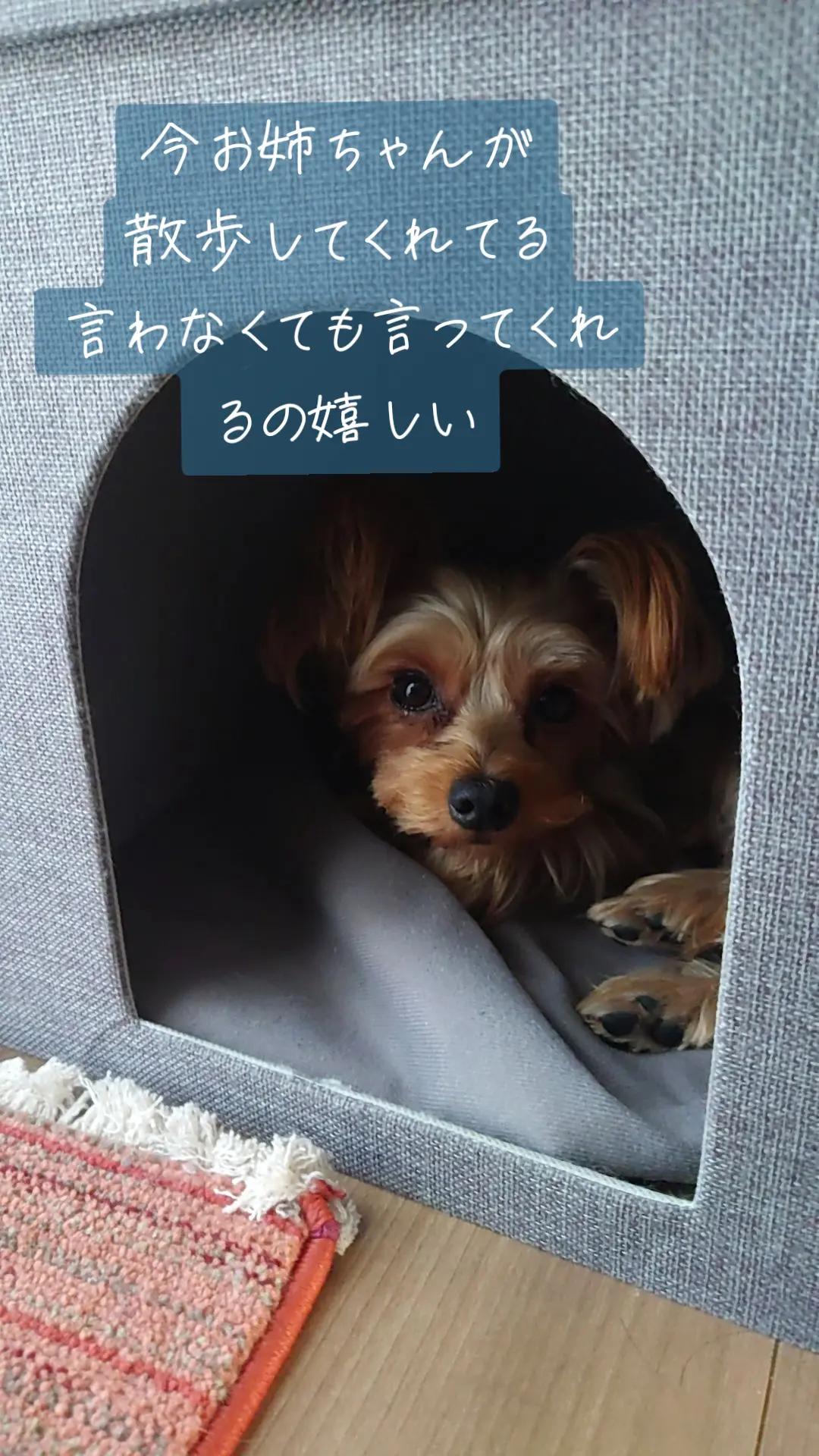 @🌏️🎀最後ののん🎀🌏️