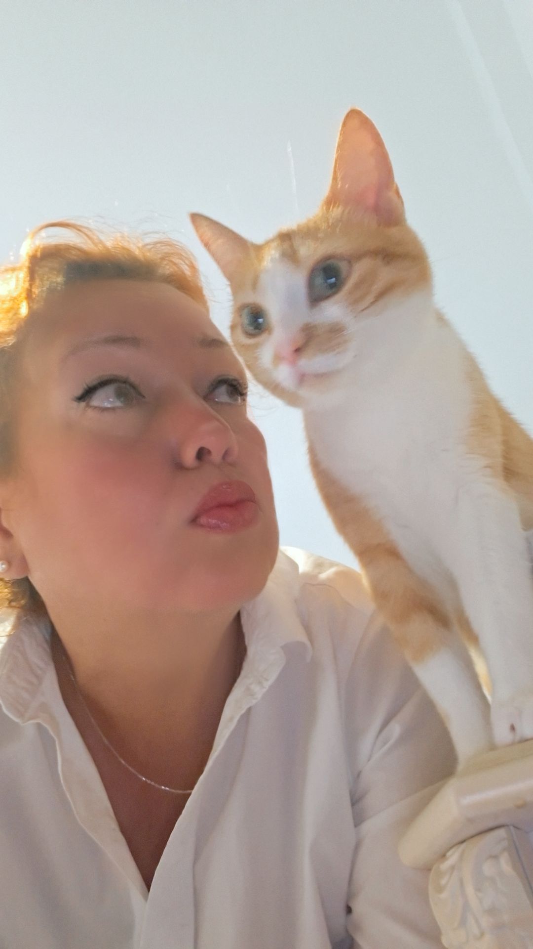 @Happy Cat