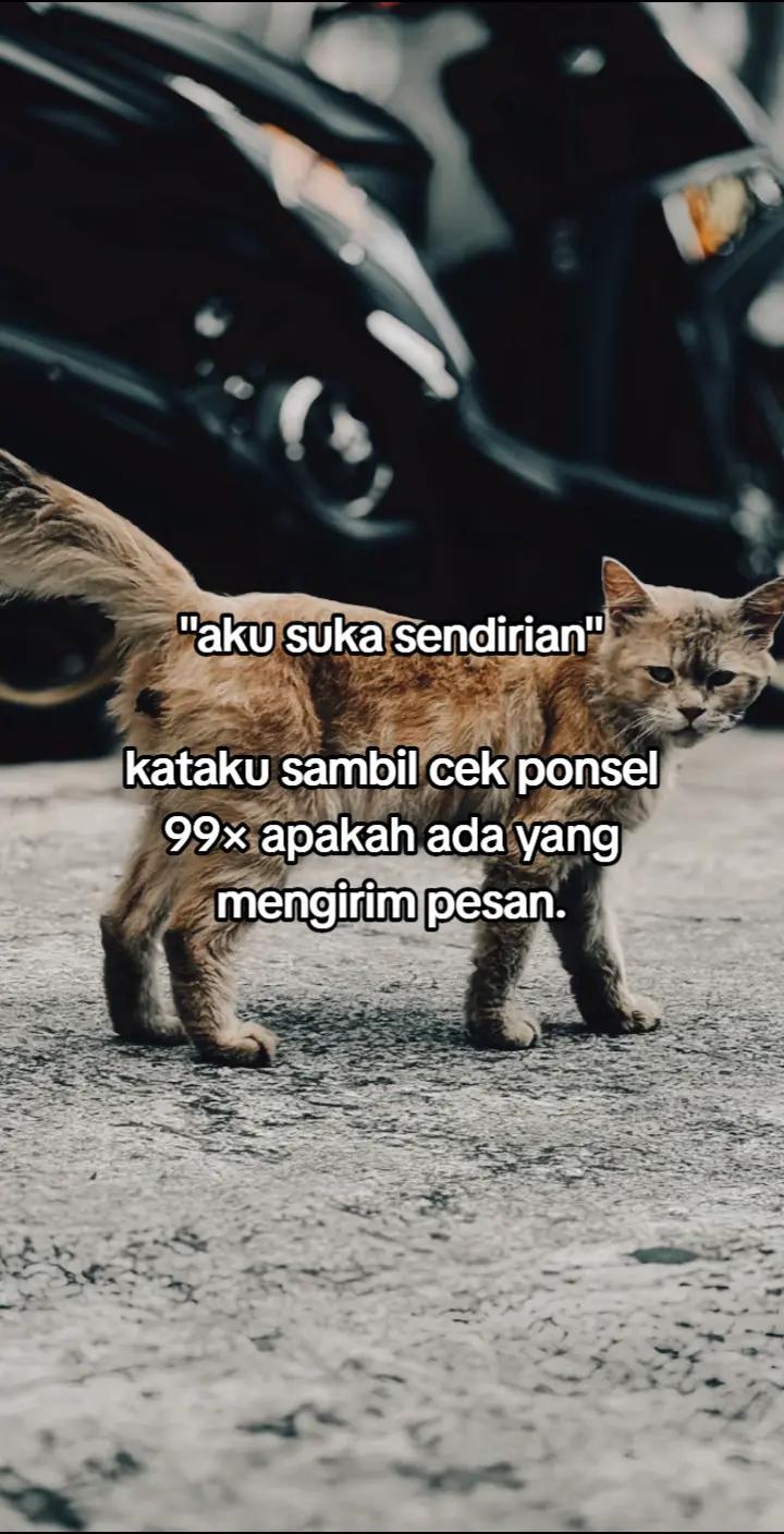 @323⚡