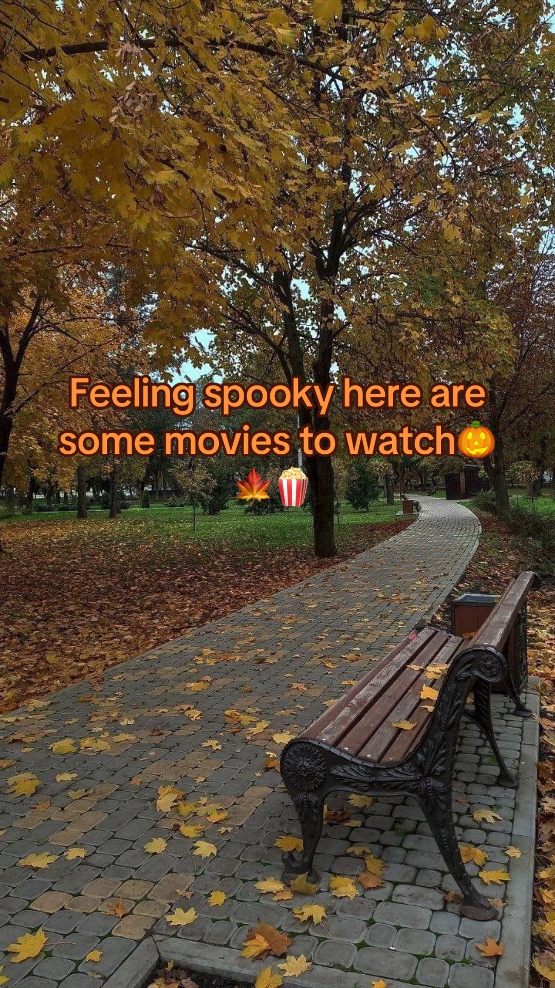 @sofestiveseaons