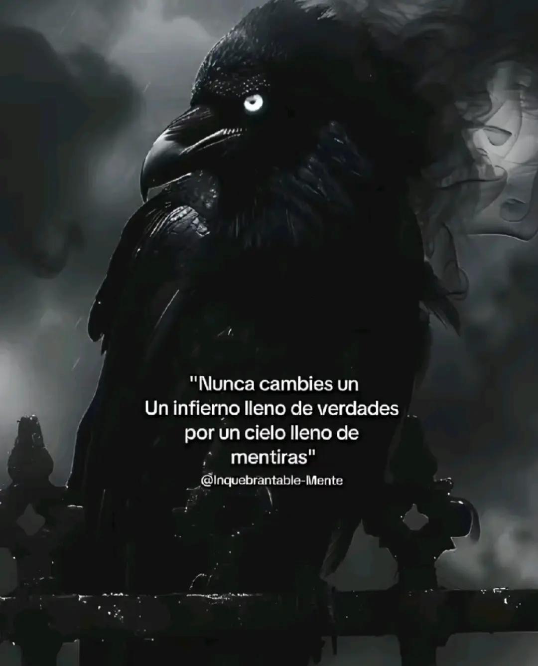 @•