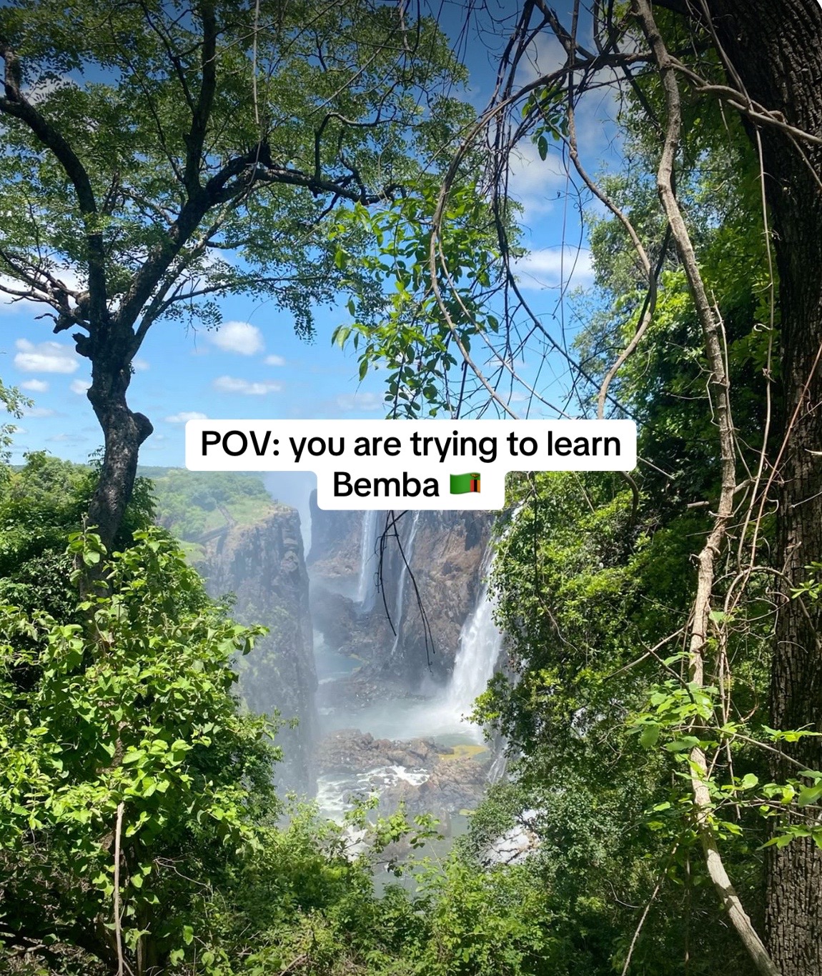 @languagelearner