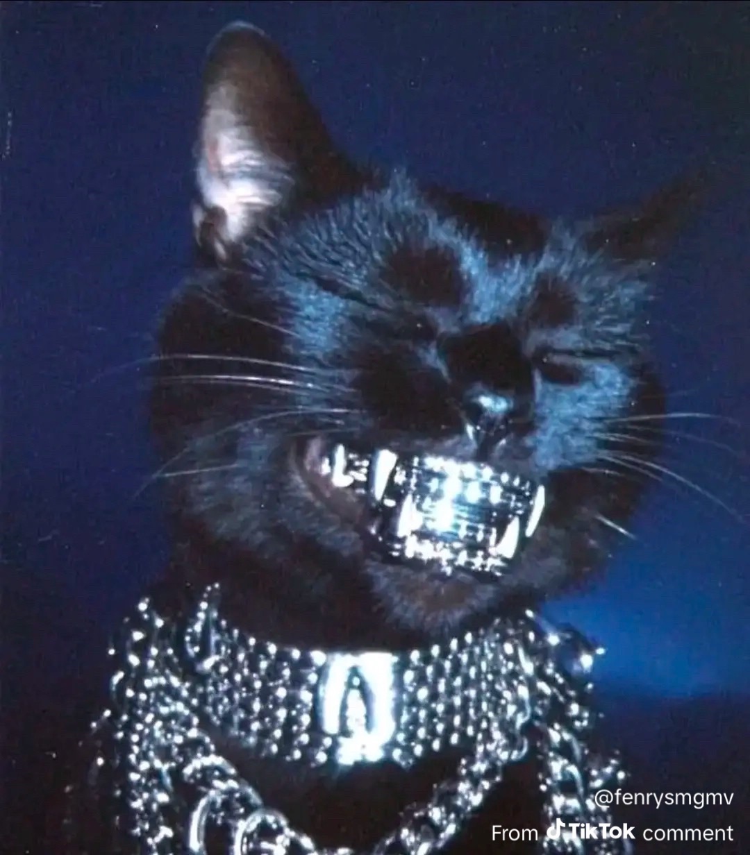 @๐ธ MissKitty ๐ธ
