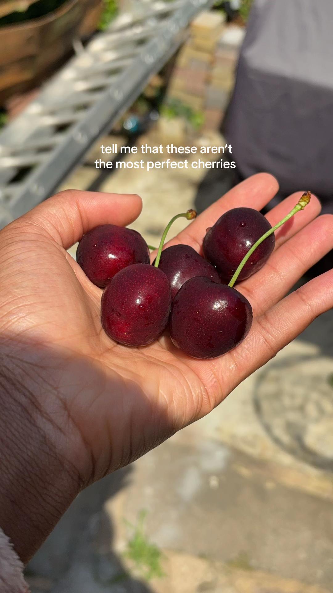@danya ﾒ𝟶🎈