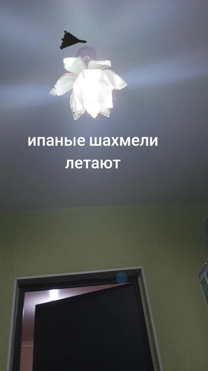 @епард