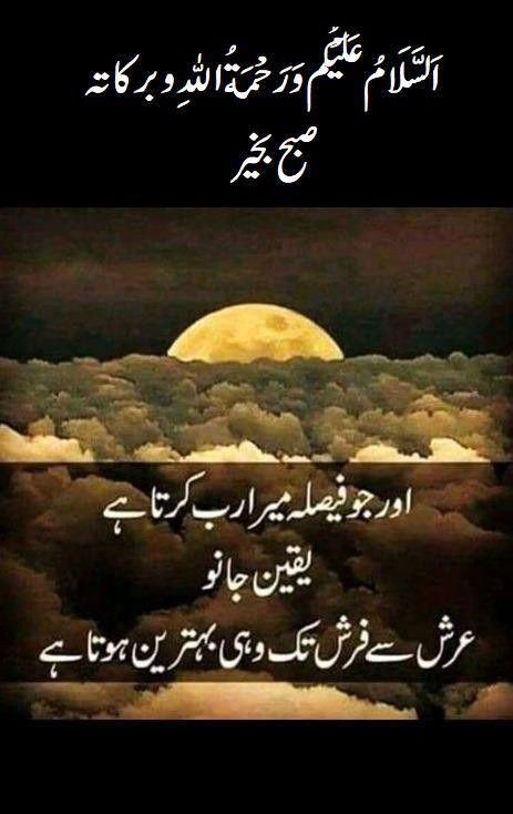 @Toseef khan